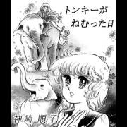 トンキーがねむった日